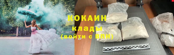 ешки Новодвинск