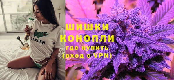 соль ск Новозыбков