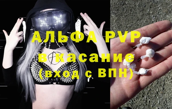 прущие грибы Валдай