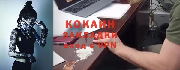ешки Новодвинск