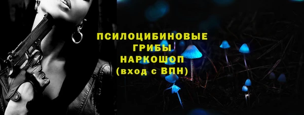 ешки Новодвинск