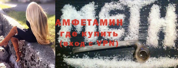 соль ск Новозыбков