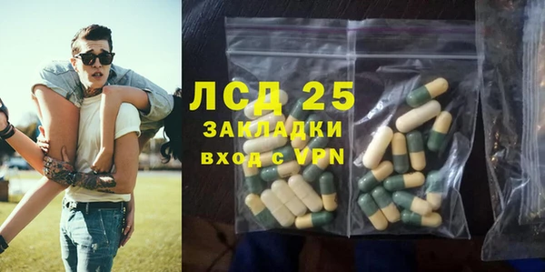 ешки Новодвинск