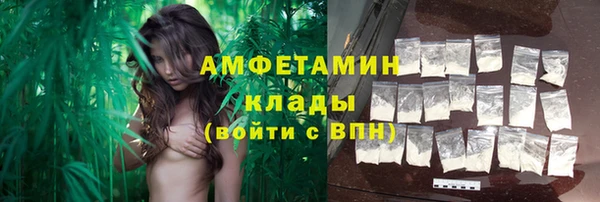 ешки Новодвинск