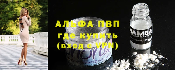 ешки Новодвинск