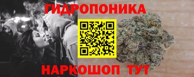 крисы Канаш